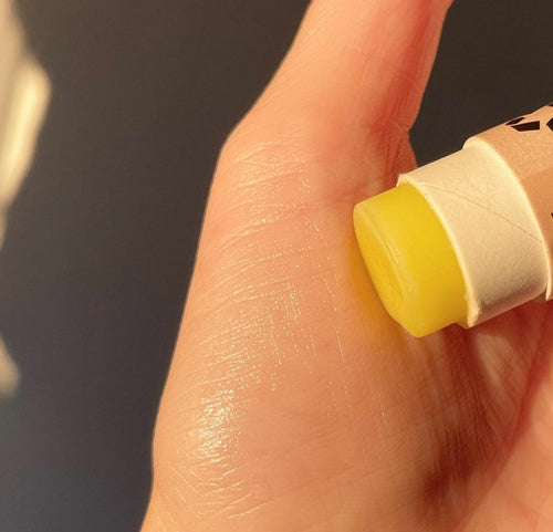 Organic Ginger Lip Balm 15ml - One piece