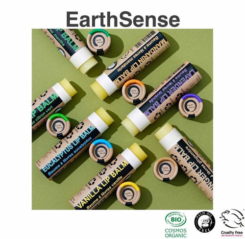 Organic Ginger Lip Balm 15ml - One piece